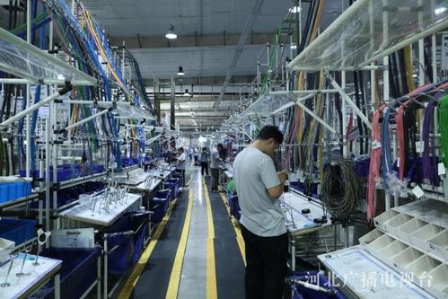 協(xié)同發(fā)展譜新篇丨數(shù)智賦能 產(chǎn)業(yè)筑基 廊坊在京津冀協(xié)同中打造增長新引擎